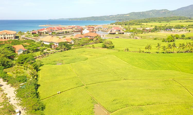 Rice terraces in Las Casas Filipinas de acuzar