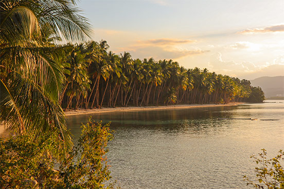 Traveling to Palawan - Hidden Coconut beach
