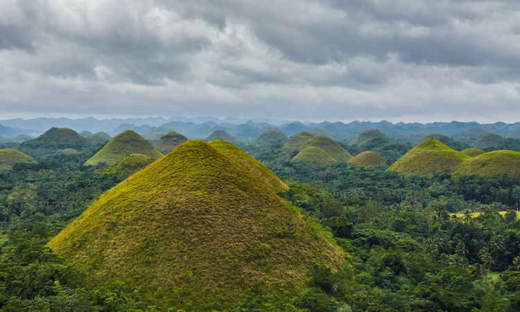 The Chocolate Hills in Bohol 