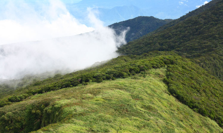 Makawiwili ridge best touristic spot near Dumaguete city