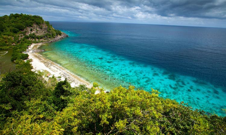 Apo Island