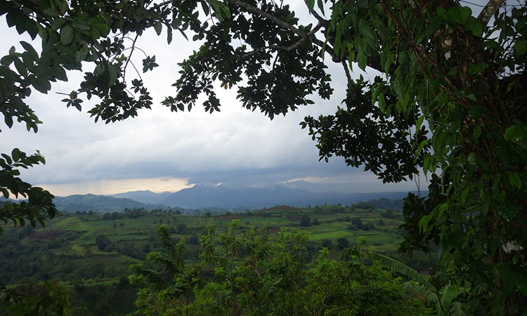 Hiking in Batangas for Beginners - Mt. Apayang