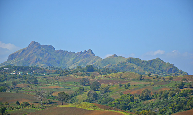 Mount Batulao View