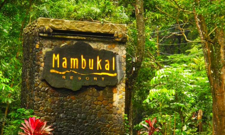 Tourist Spots in Bacolod Philippines - Mambukal